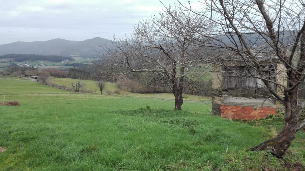  en venta finca rústica Cabarcos Mariña Oriental 14