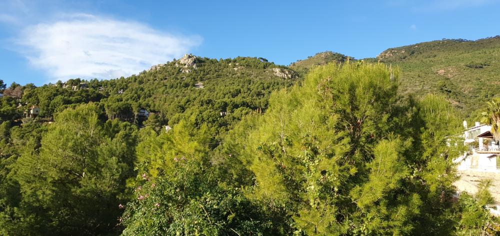  en venta chalet Benicasim Plana Alta 40