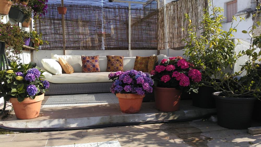  en venta casa Vejer De La Frontera Janda (La) 3
