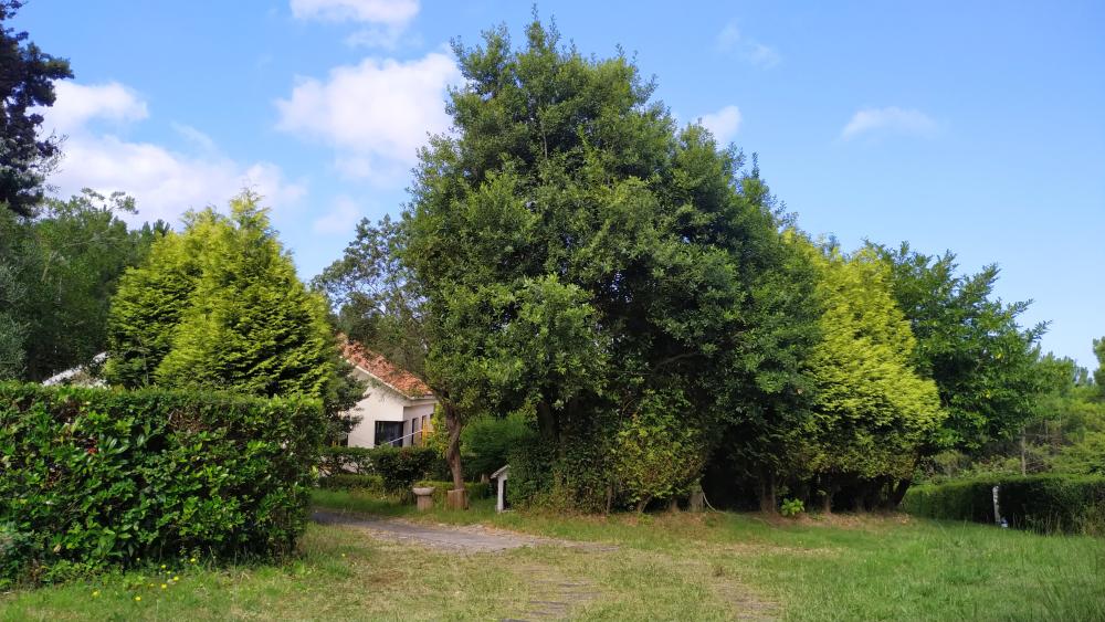  en venta casa A Brixeria Bergantiños 27
