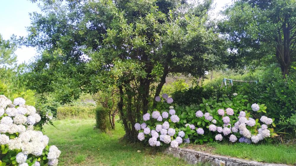  en venta casa A Brixeria Bergantiños 31