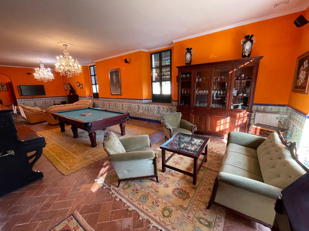  en venta chalet Carmona Campiña De Carmona 6