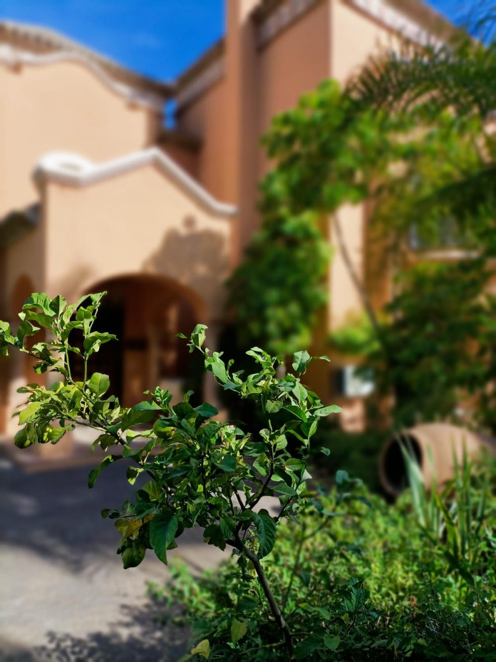  en venta chalet La Quinta Costa Del Sol Occidental 9