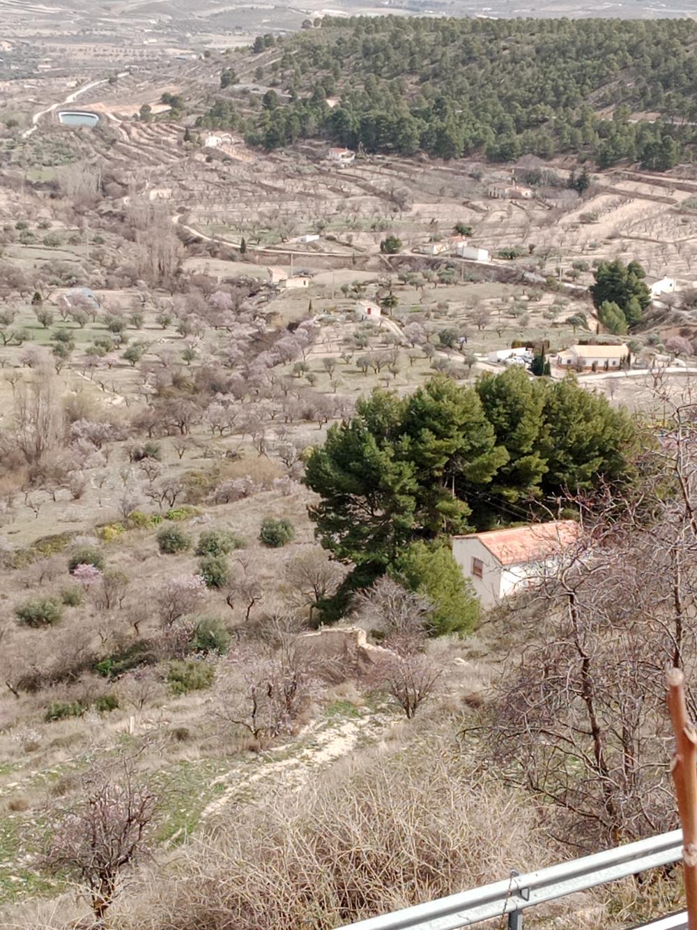  en venta finca rústica Vélez Blanco Comarca De Los Vélez 5
