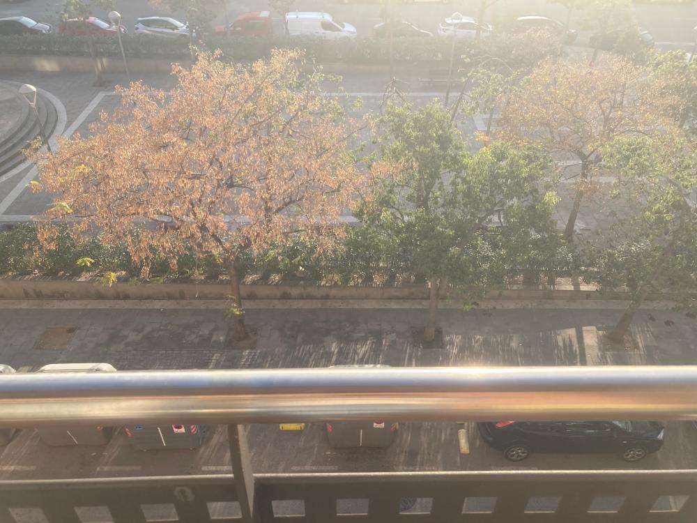  en venta apartamento L'hospitalet De Llobregat Centre Barcelonès 12