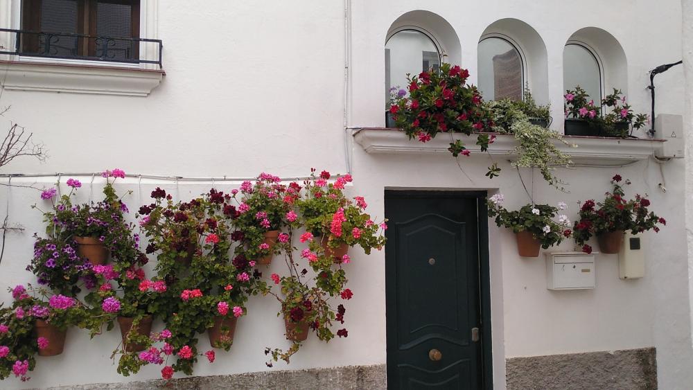  en venta casa Vejer De La Frontera Janda (La) 14