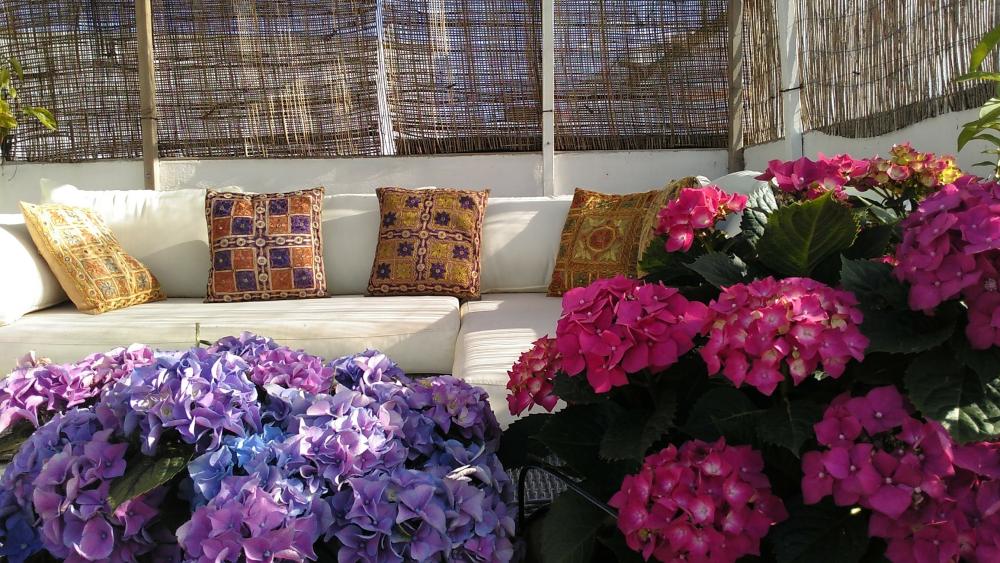  en venta casa Vejer De La Frontera Janda (La) 2
