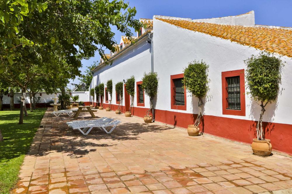  en venta chalet Carmona Campiña De Carmona 14