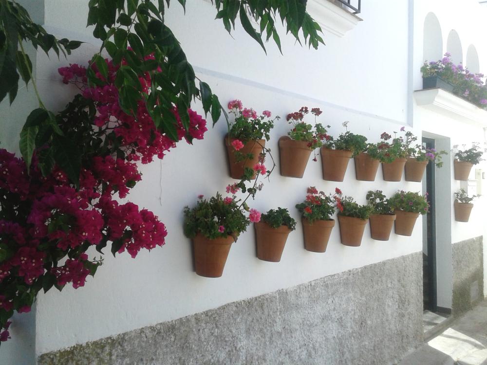  en venta casa Vejer De La Frontera Janda (La) 13