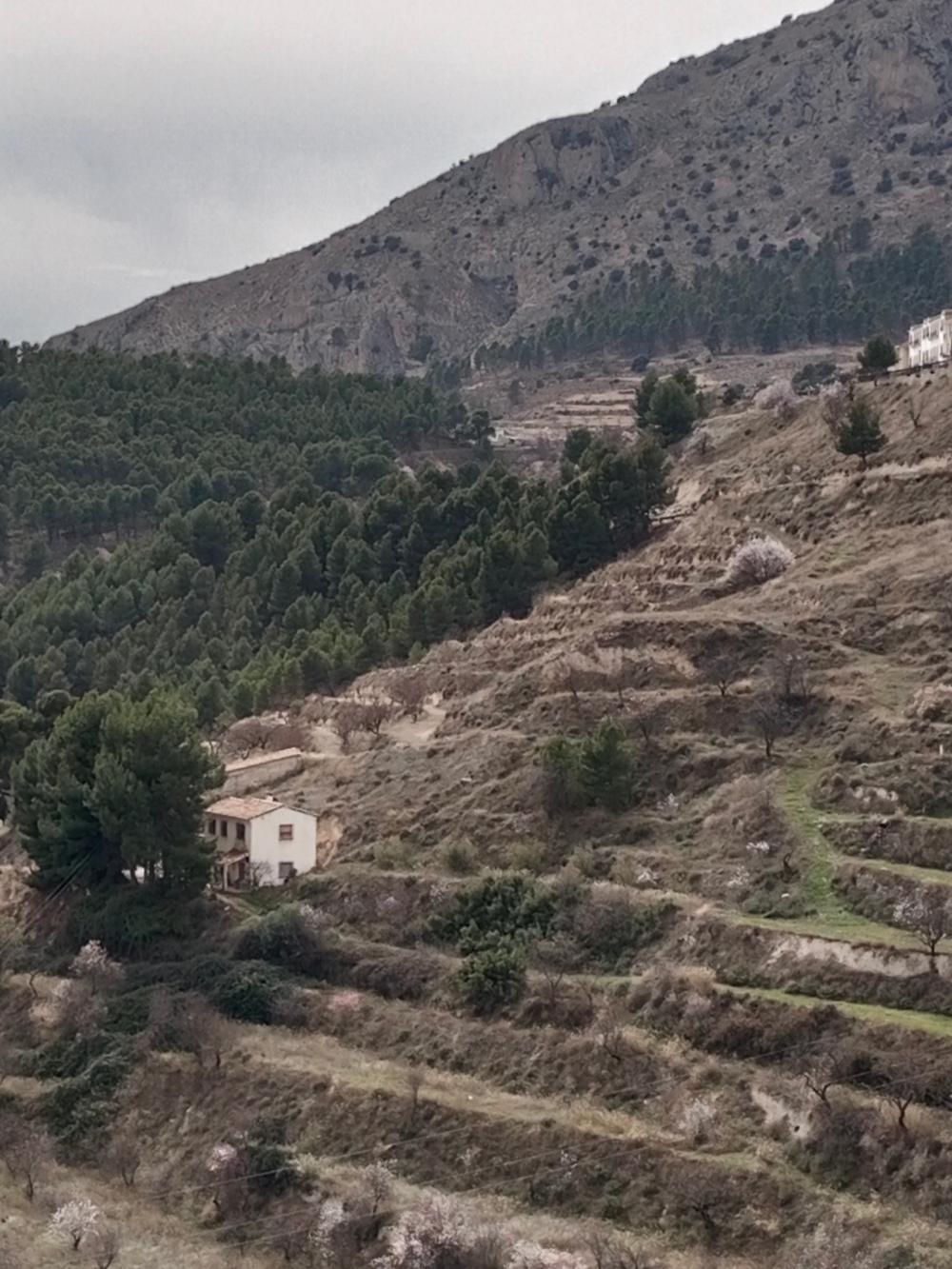  en venta finca rústica Vélez Blanco Comarca De Los Vélez 4
