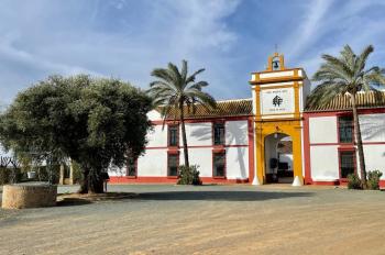Carmona Campiña De Carmona chalet foto 5196246