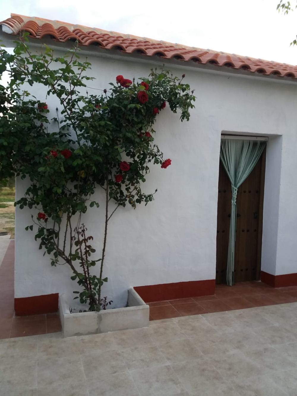  en venta finca rústica Espiel Valle Del Guadiato 2
