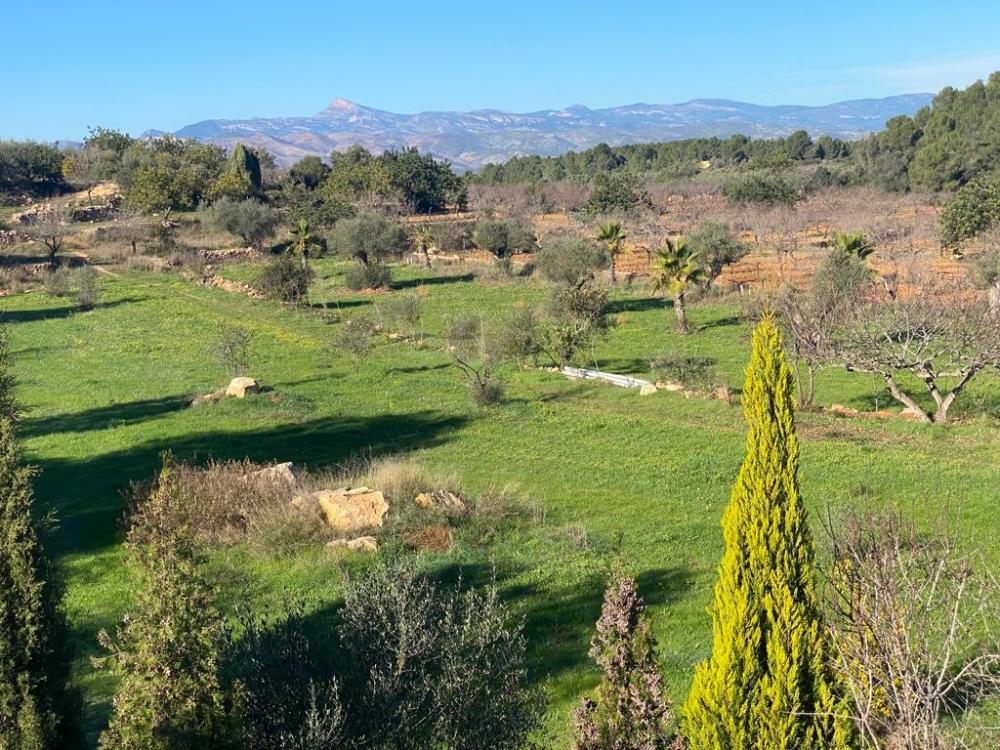  en venta terreno Vilafamés Plana Alta 50