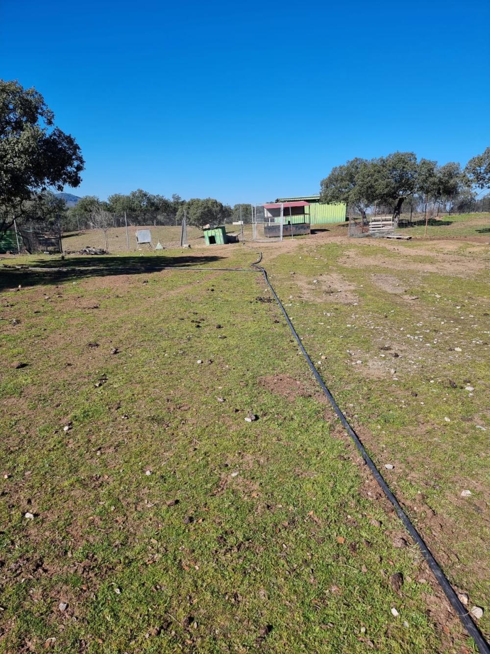  en venta finca rústica Pozoblanco Pedroches (Los) 20