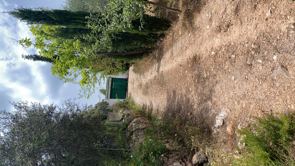  en venta terreno Vilafamés Plana Alta 27