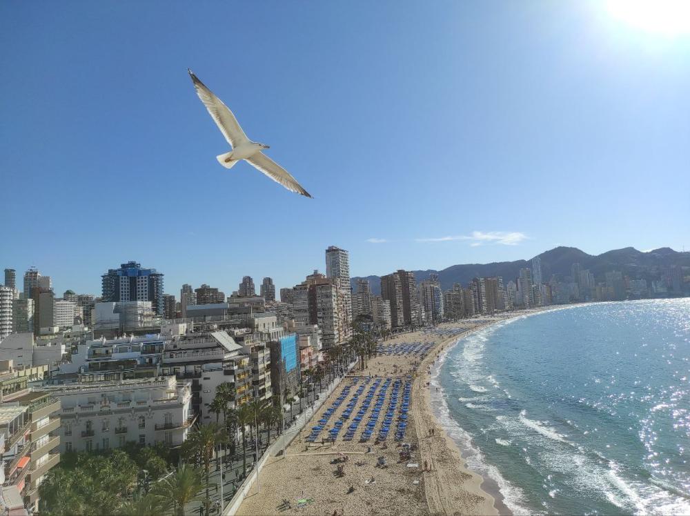  en venta apartamento Benidorm (Centro) Marina Baixa 1