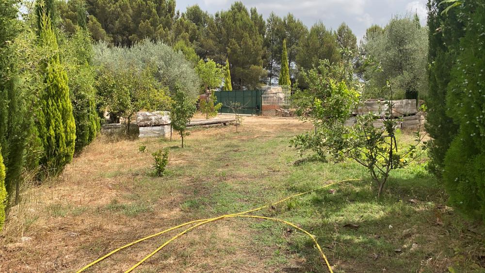  en venta terreno Vilafamés Plana Alta 21