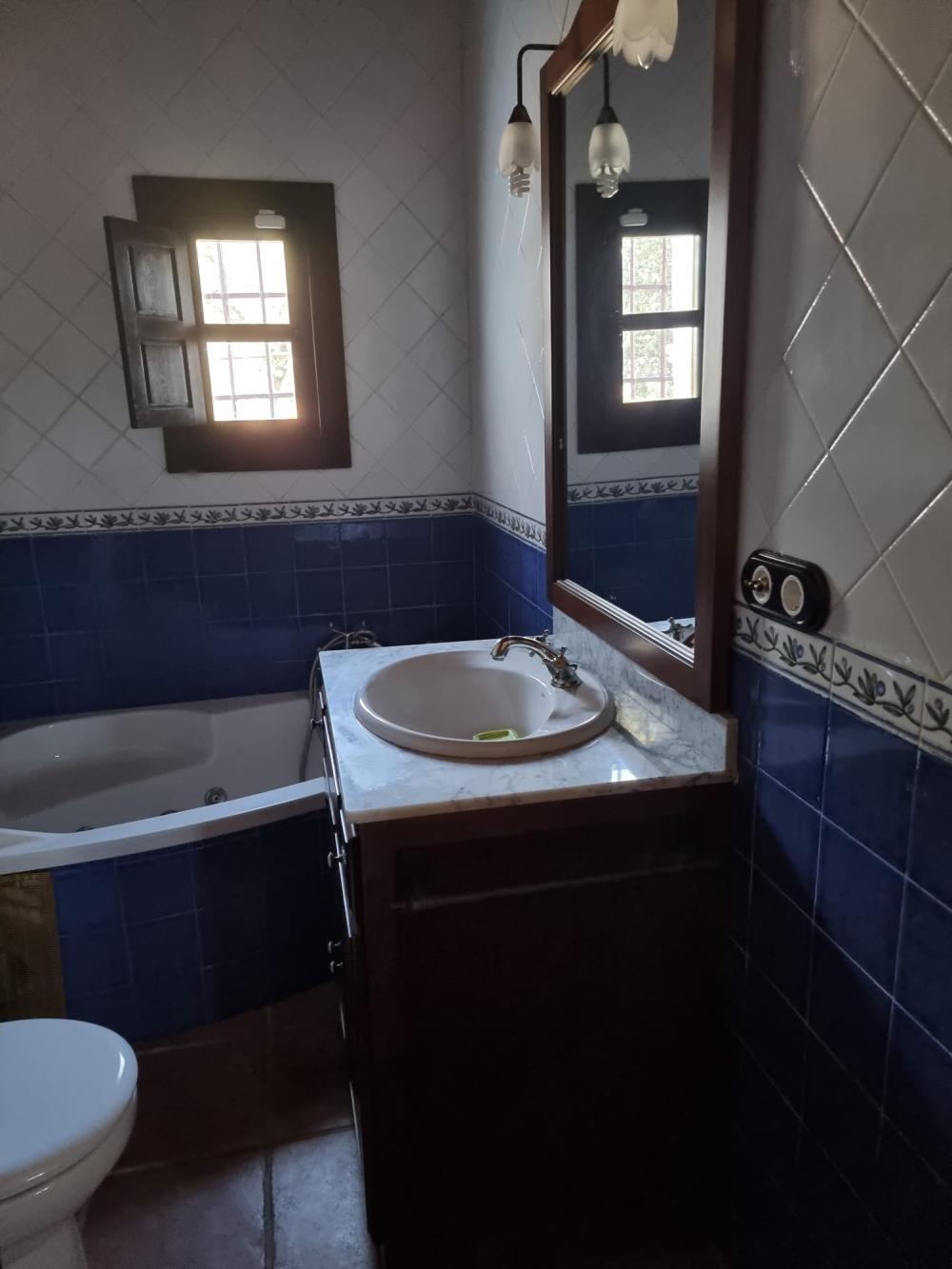  en venta finca rústica Pozoblanco Pedroches (Los) 13