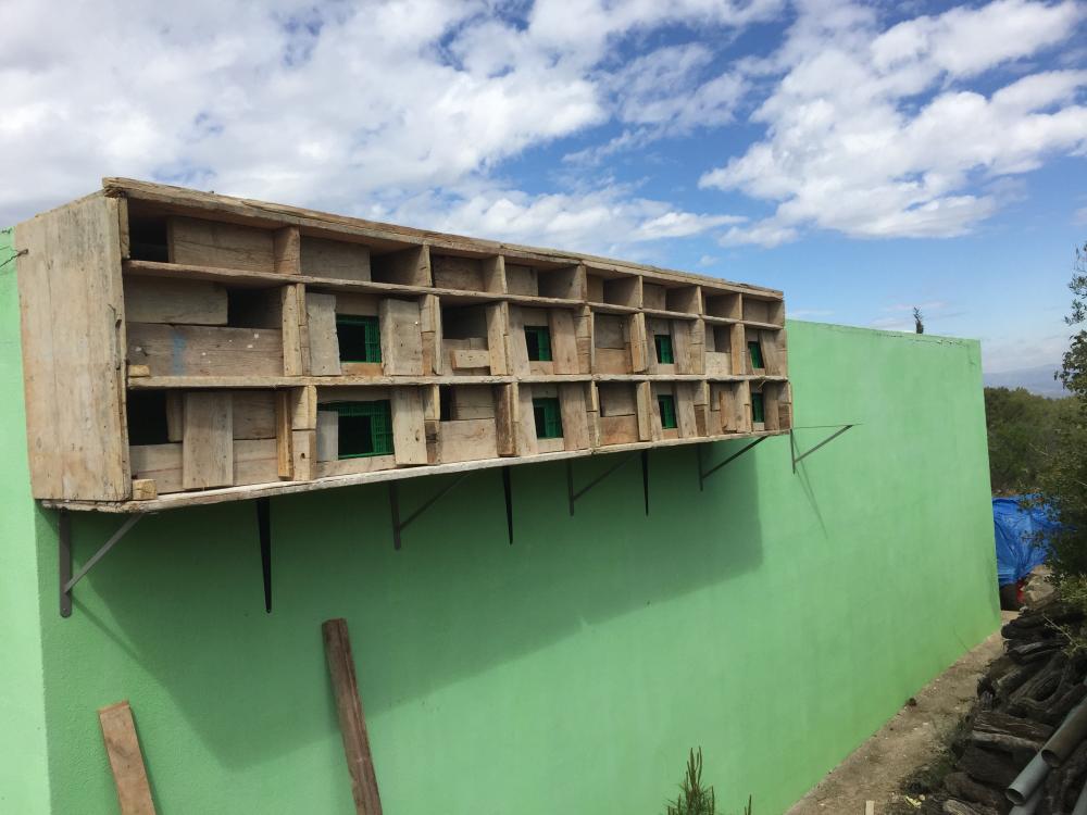  en venta terreno Vilafamés Plana Alta 37