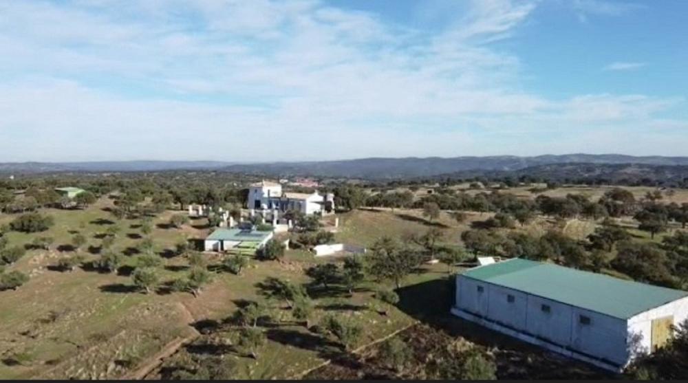  en venta finca rústica Pozoblanco Pedroches (Los) 2