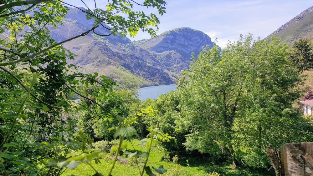 en venta finca rústica Bezanes Nalón 8