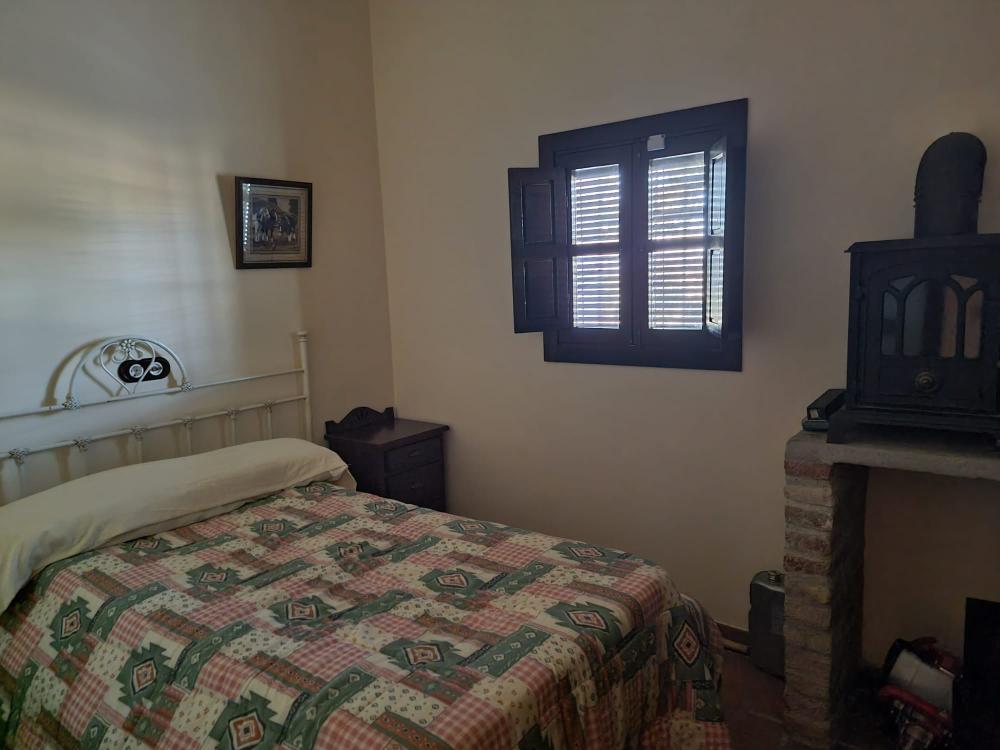  en venta finca rústica Pozoblanco Pedroches (Los) 12
