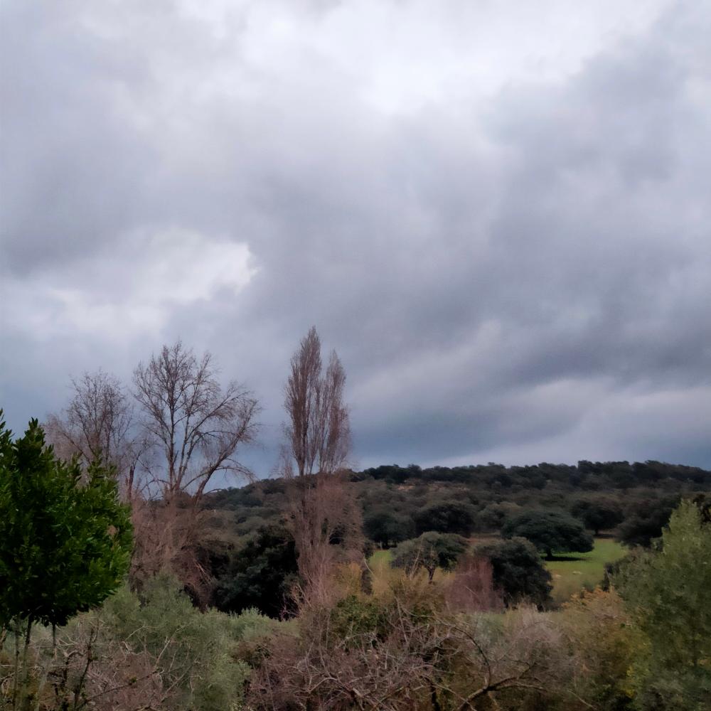  en venta finca rústica Espiel Valle Del Guadiato 17