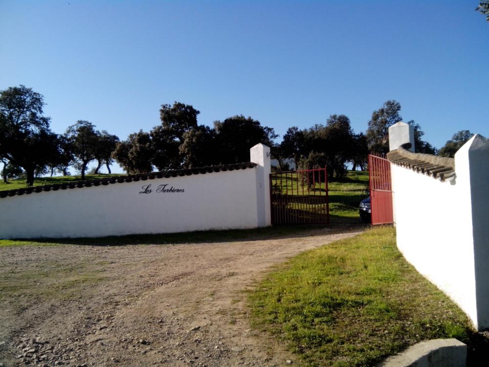  en venta finca rústica Pozoblanco Pedroches (Los) 4