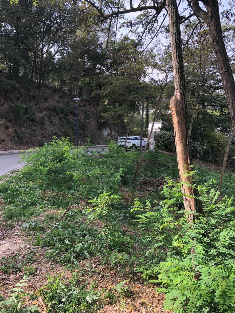  en venta terreno Les Planes Vallès Occidental 2