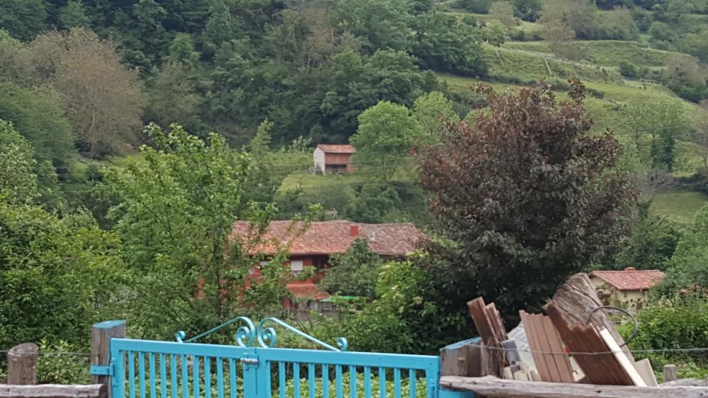  en venta finca rústica Bezanes Nalón 3