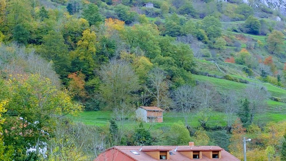  en venta finca rústica Bezanes Nalón 7
