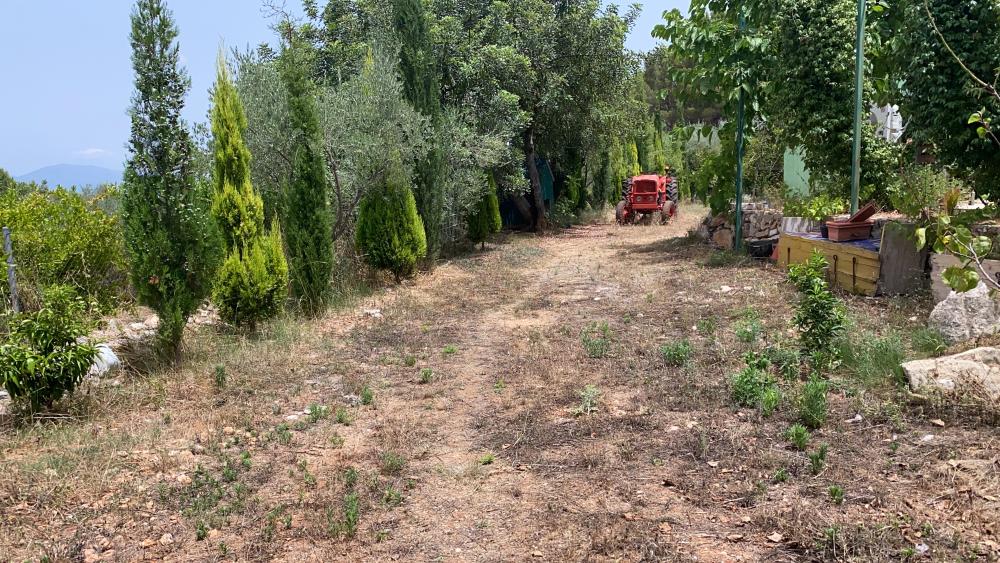  en venta terreno Vilafamés Plana Alta 20