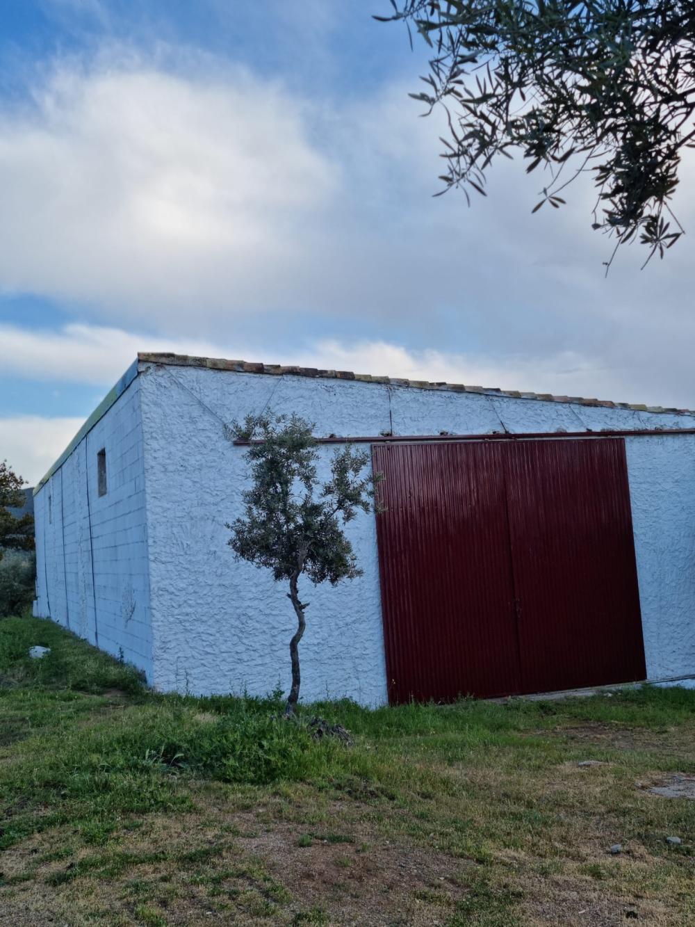  en venta finca rústica Pozoblanco Pedroches (Los) 18