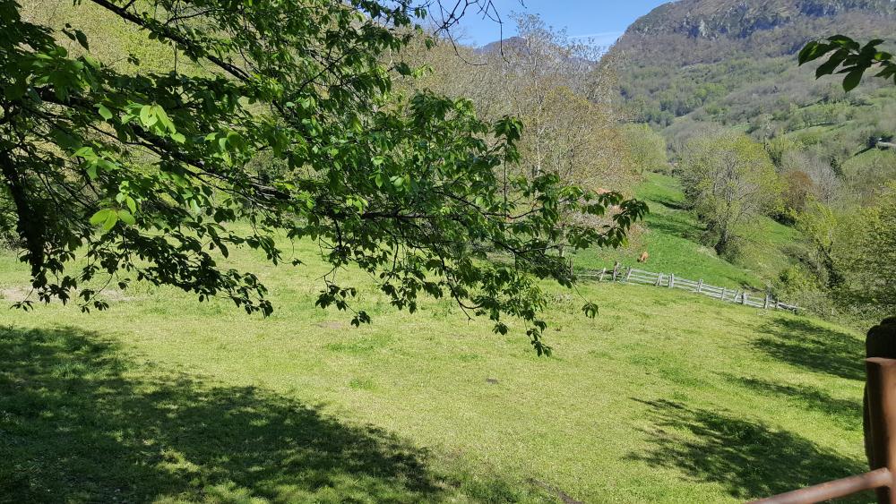  en venta finca rústica Bezanes Nalón 13