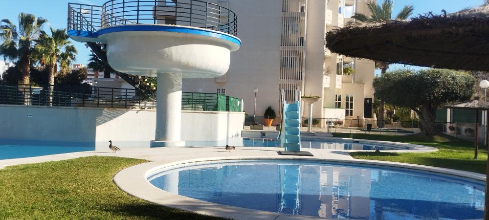  en venta apartamento Playa De San Juan Alacantí 6