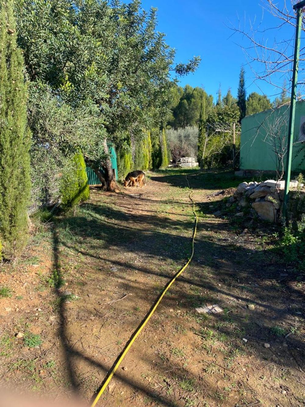  en venta terreno Vilafamés Plana Alta 15
