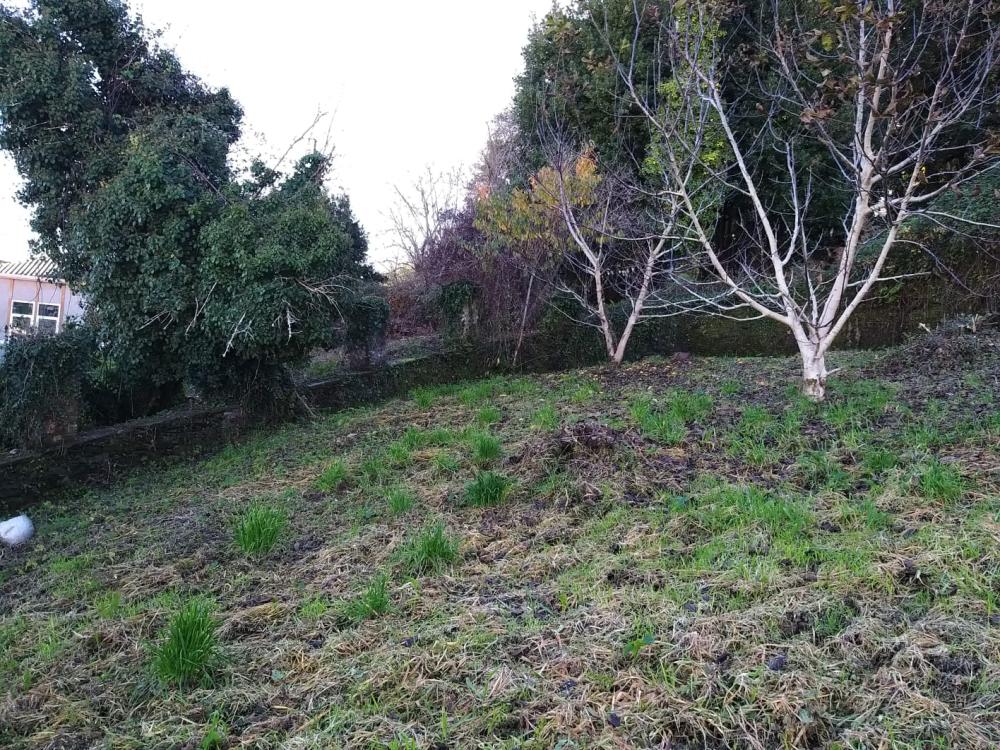  en venta casa Pontedeume Eume 6