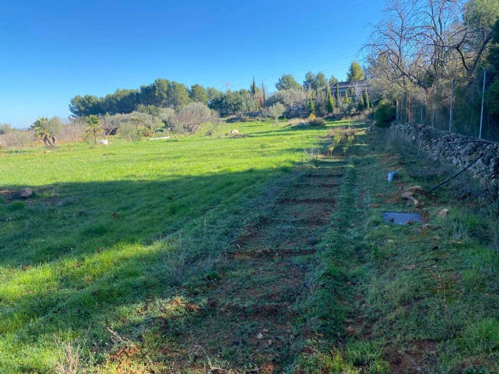  en venta terreno Vilafamés Plana Alta 5