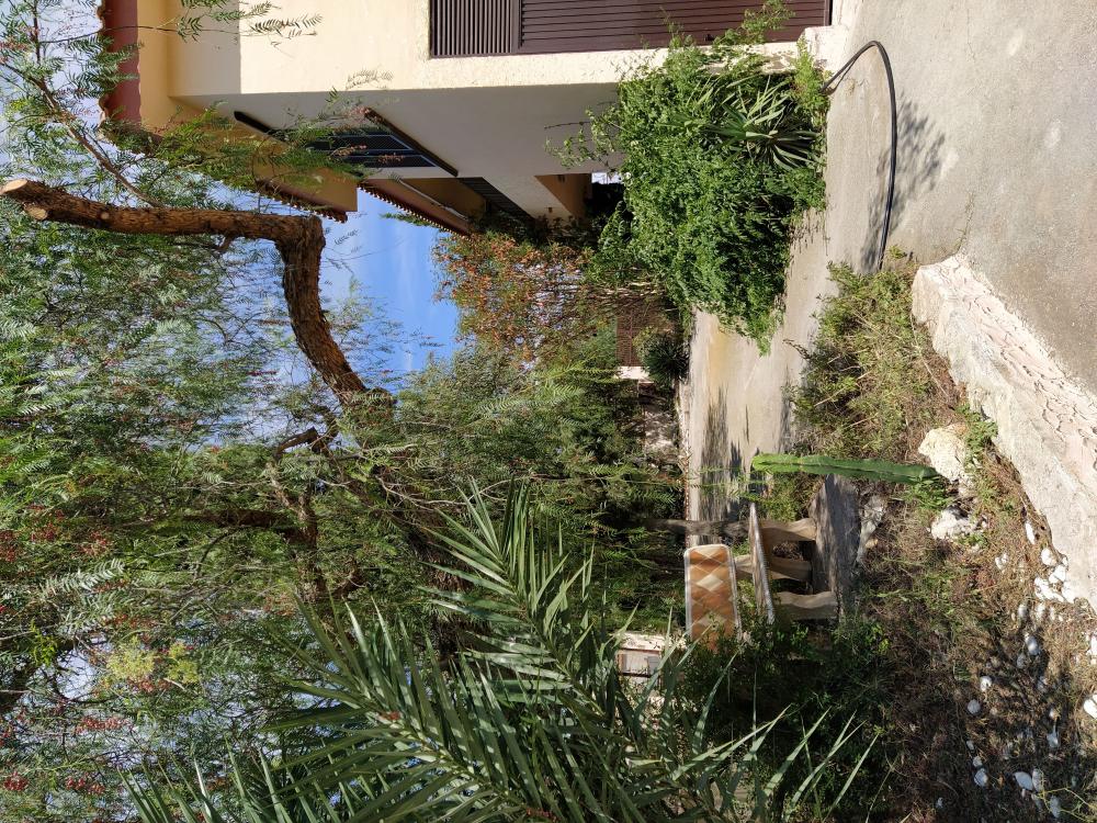  en venta chalet Toscas-Chorrico Vega Media Del Segura 20