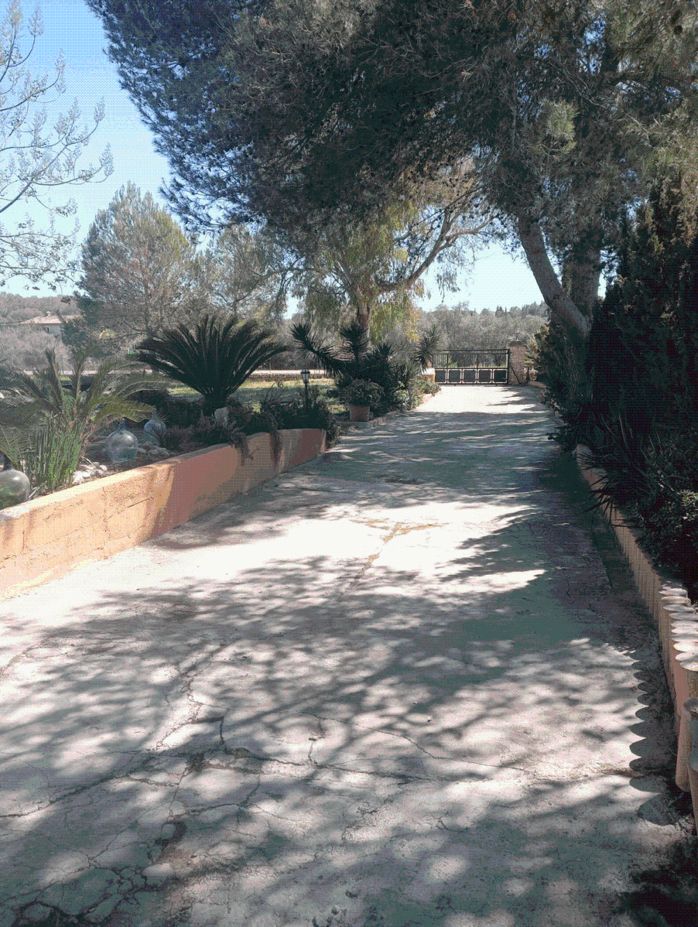  en venta chalet Biniali Pla (Es) 4