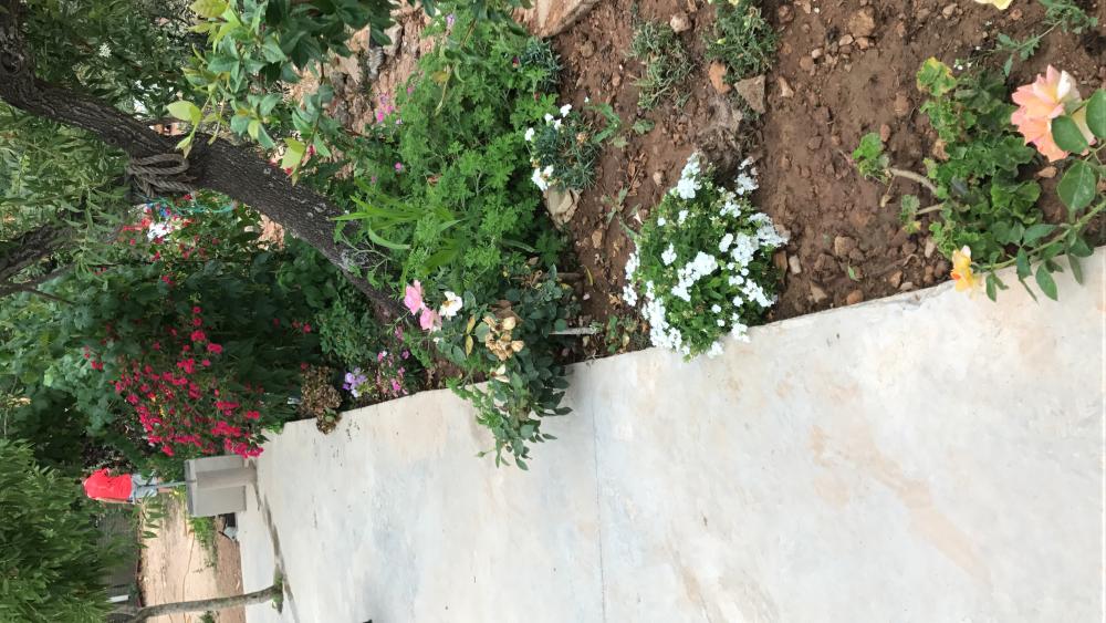  en venta terreno Vilafamés Plana Alta 35