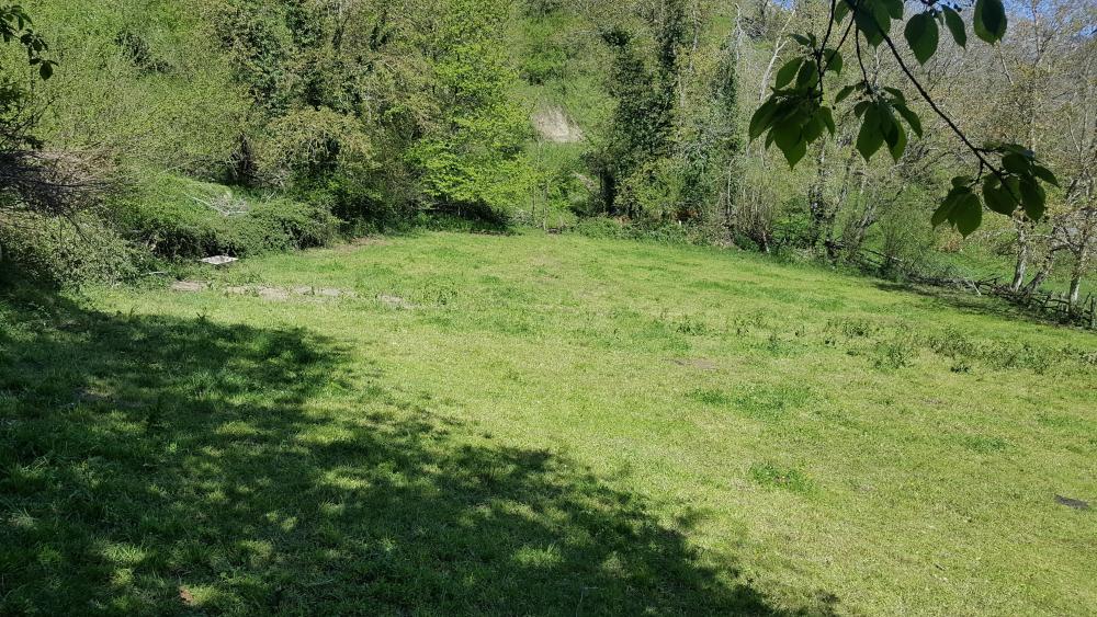  en venta finca rústica Bezanes Nalón 10