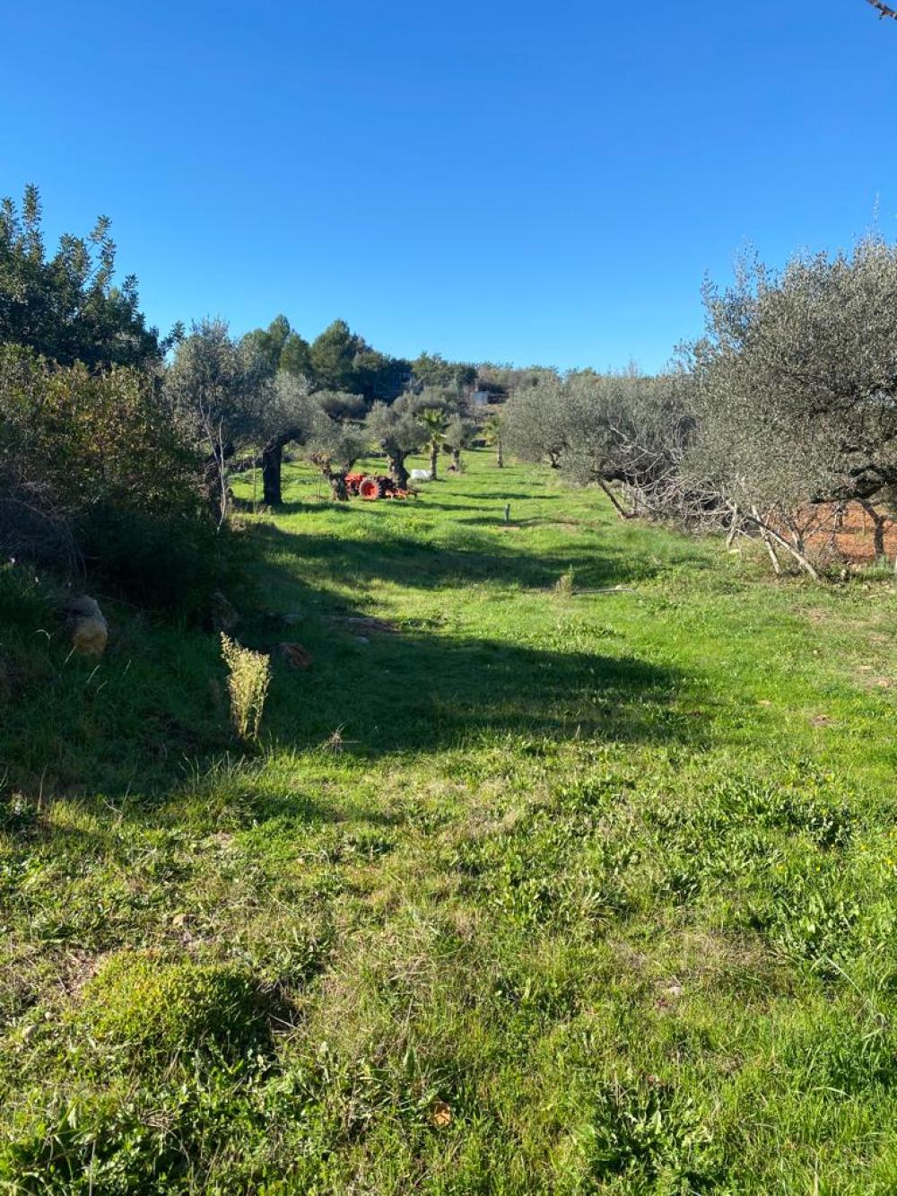  en venta terreno Vilafamés Plana Alta 47