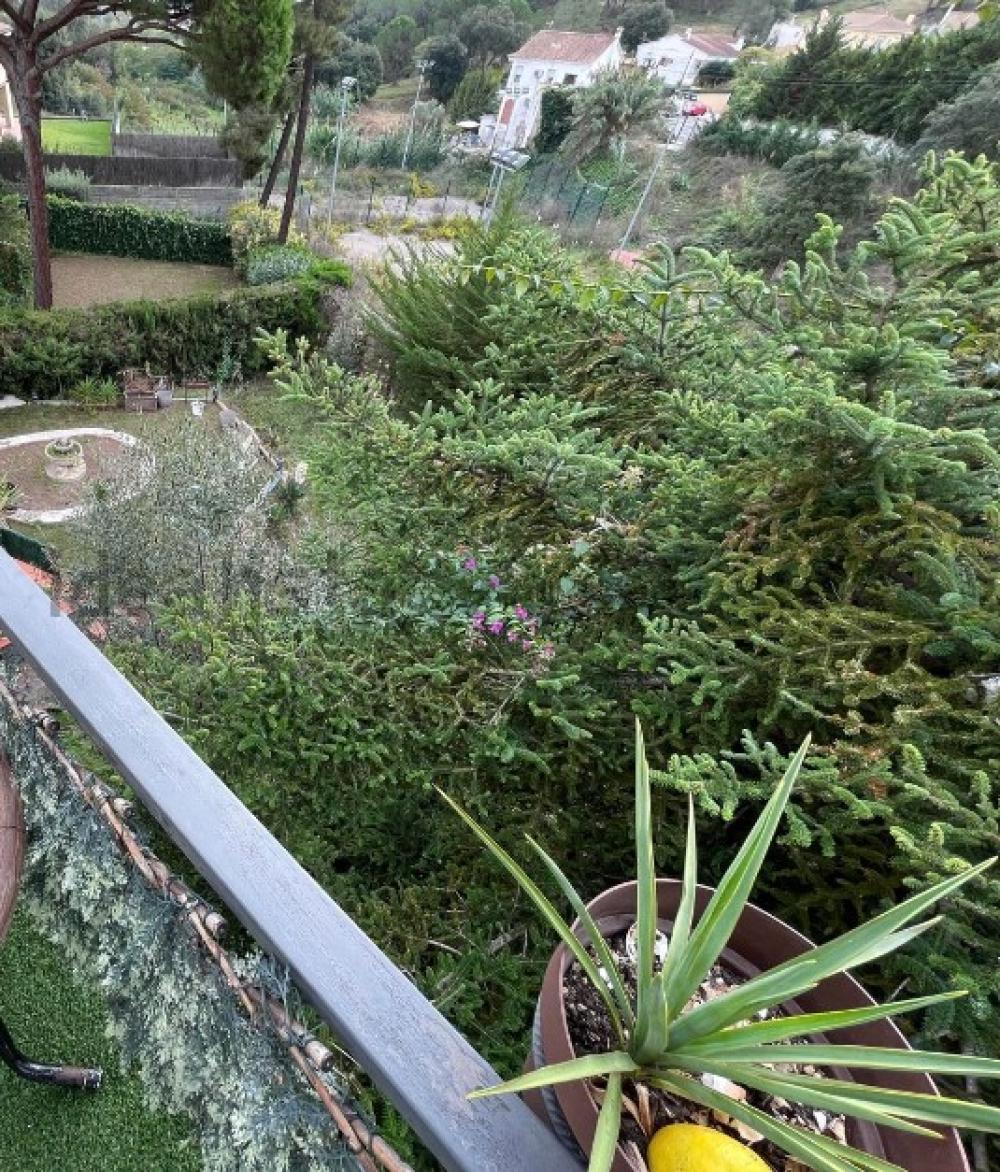  en venta chalet Condado De Jaruco Selva 9