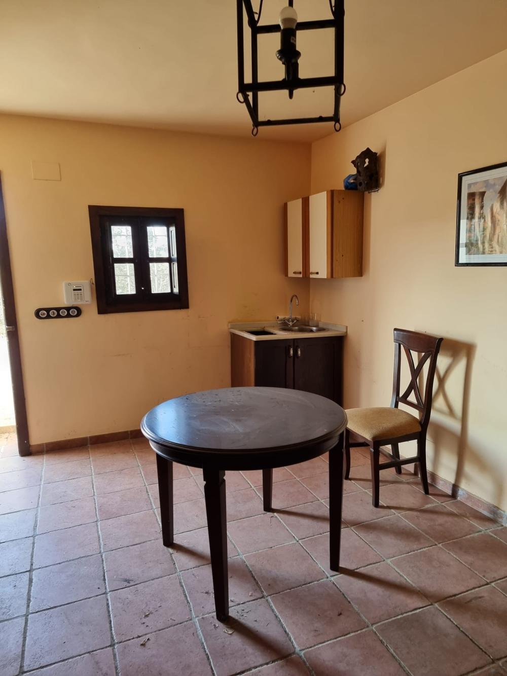  en venta finca rústica Pozoblanco Pedroches (Los) 16