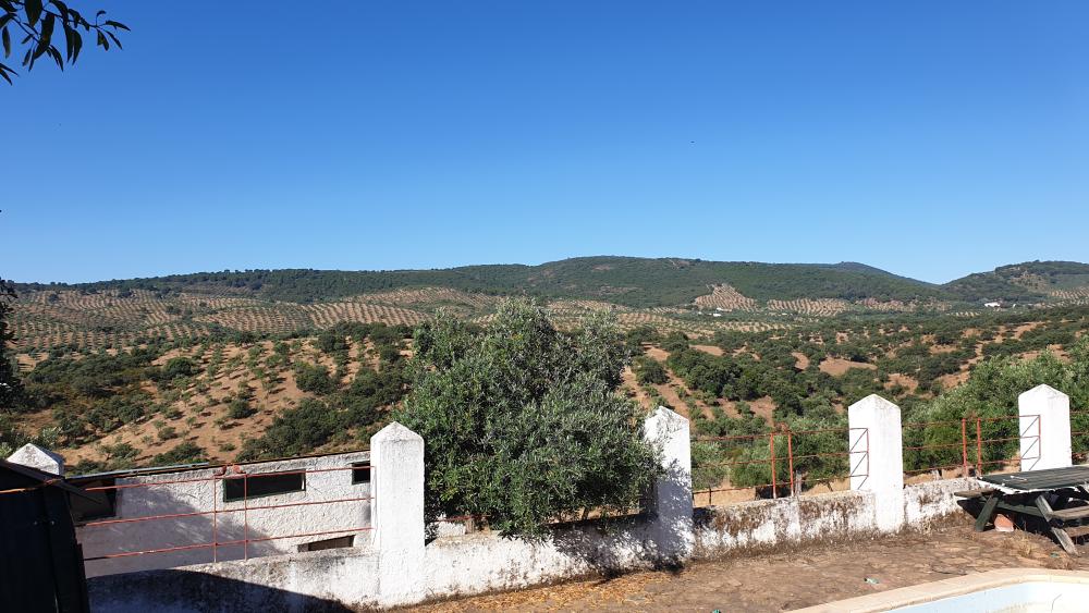  en venta finca rústica Pozoblanco Pedroches (Los) 6