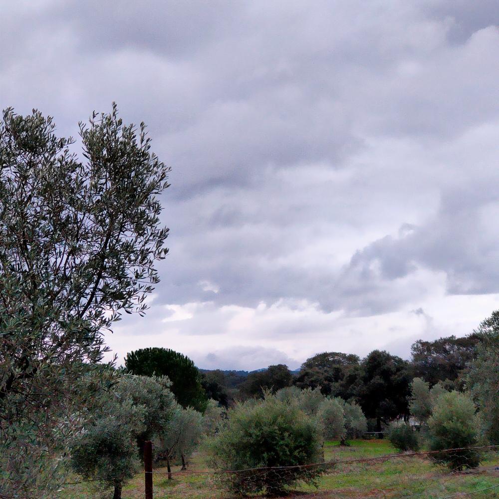  en venta finca rústica Espiel Valle Del Guadiato 18
