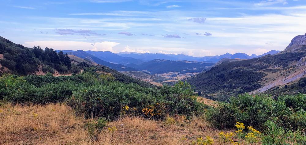  en venta finca rústica Bezanes Nalón 15