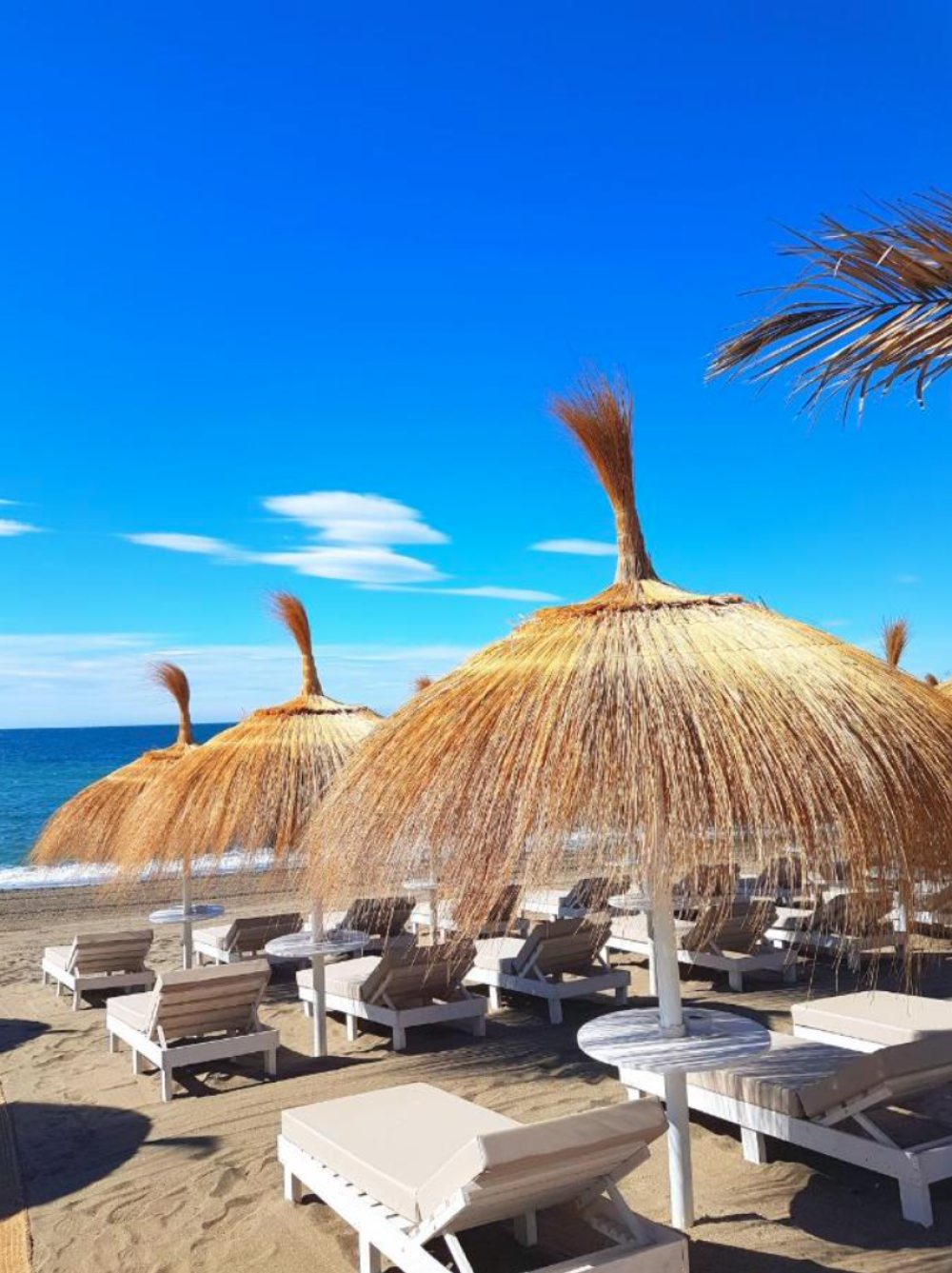 en venta hotel Puerto Banús Costa Del Sol Occidental 10