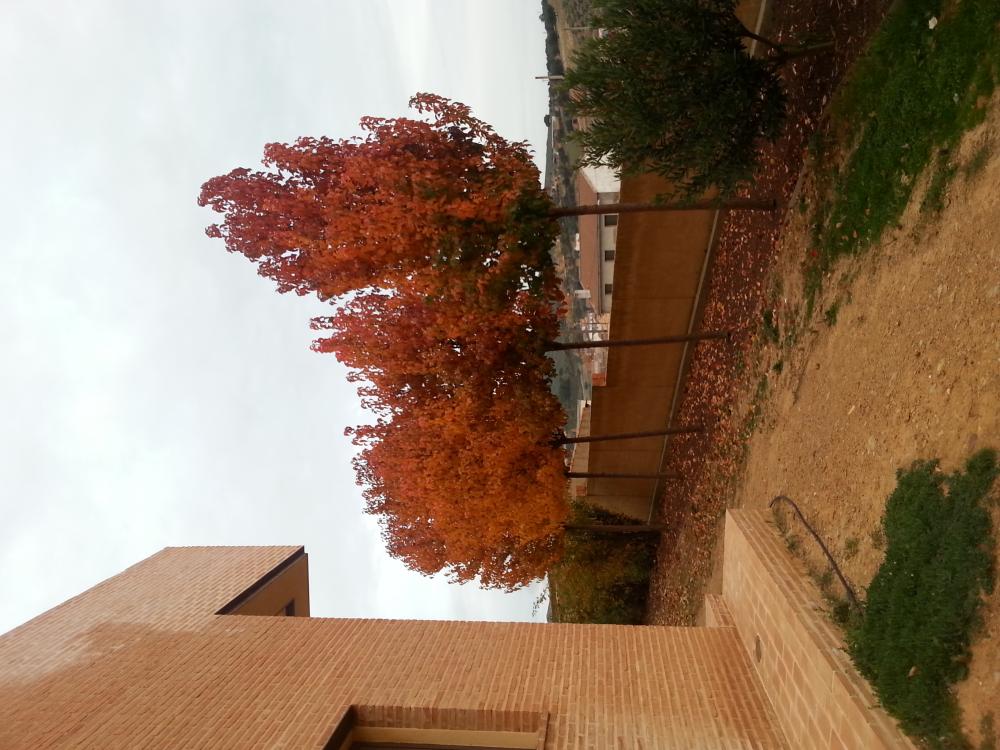  en venta chalet Horcajo De Los Montes Montes 6